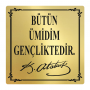 Atatürk Büstü Vecize Yazı Pirinç Kaplama 40x40 cm Atatürk Büstü Vecize Yazı Pirinç Kaplama 40x40 cm